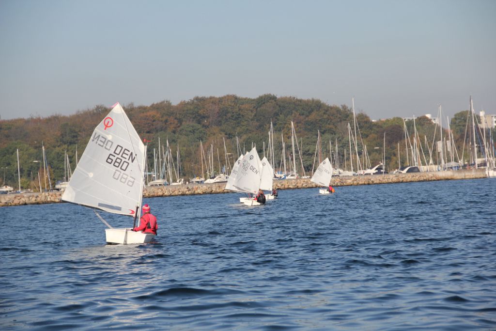 Vis 20101010 113428.jpg i fuld st�rrelse